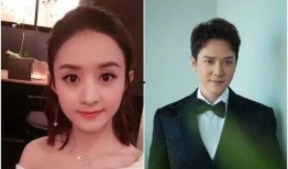 冯绍峰与赵丽颖最新爆料,揭秘甜蜜爱情背后的故事